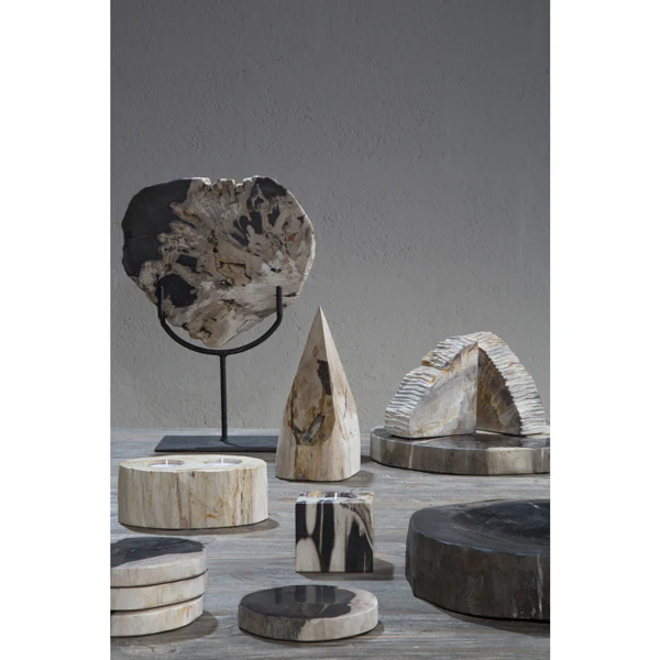 Raven Petrified Wood Bowl - Image 3